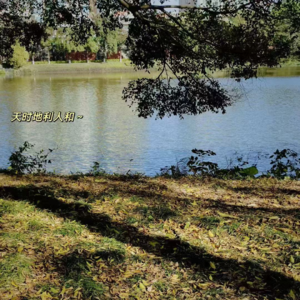 13玩得越嗨，悟得越深？那些藏在玩乐里的微妙觉察