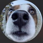 鬼脸嘟嘟花生味