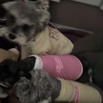 月球上的人_rJfm