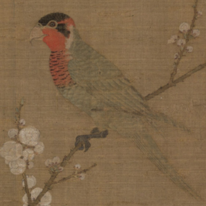 S2E6 《五色鹦鹉图》揭秘:这幅画背后隐藏的深意