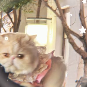 一天到晚学营养