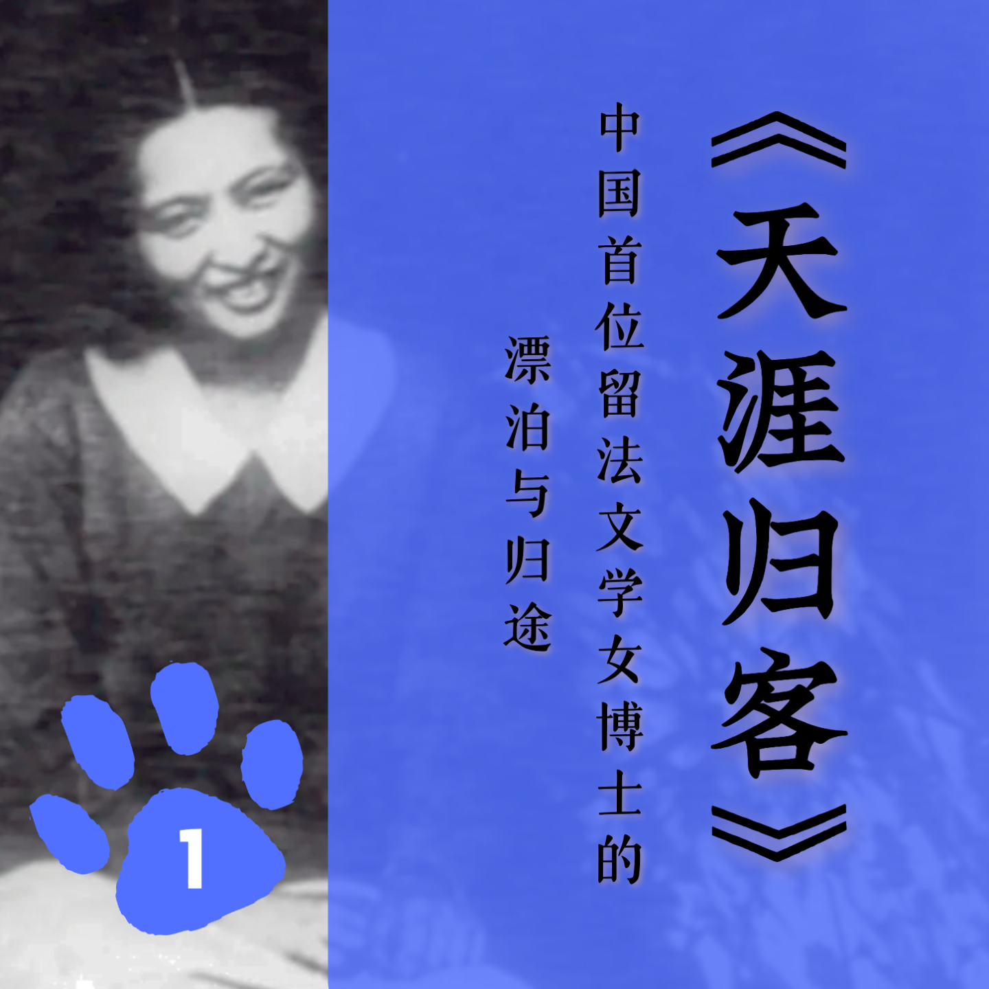 「六」《天涯归客》：中国首位留法文学女博士的漂泊与归途 episode artwork