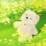 哆l美
