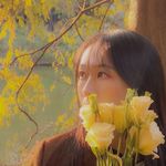 今天7仔听什么呢