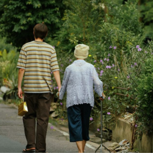 27.《姥姥的外孙》：你在我心里排第一名