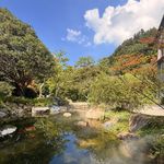 李瑾w