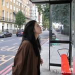 鱼肚白美味佳肴