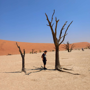 东非VS南部非洲，为什么南部非洲更值得？