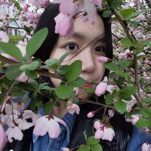 小六月Tracy
