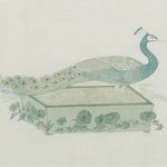 青青树苗苗