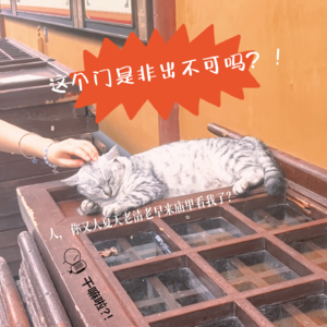 104 干嘛啦|这个门是非出不可吗?|严寒酷暑清早半夜出门的极限拉扯!