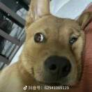 幸先