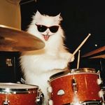 波朱野花快醒醒