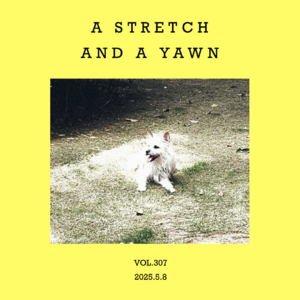 vol.307:一个深深的懒腰,再加一个重重的哈欠!