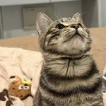 Ayuuu阿妤