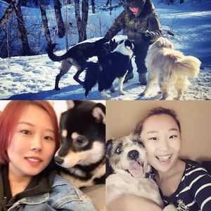 030. 是我们陪伴了狗狗，还是狗狗治愈了我们？| 串台毛朋友电台