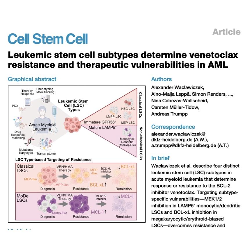 1095-Stem Cell Subtypes Determine Venetoclax Resistance episode artwork
