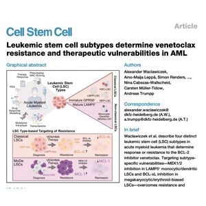 1095-Stem Cell Subtypes Determine Venetoclax Resistance