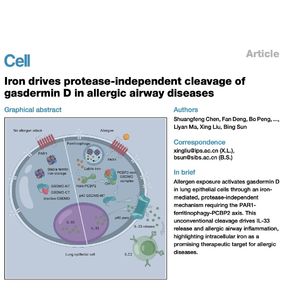 1317-Iron-Catalyzed GSDMD in Allergic Airway Inflammation