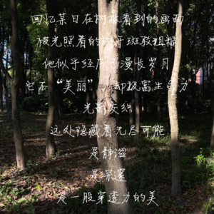 S1E12 对话发型师：剪刀下的美学和生活哲学