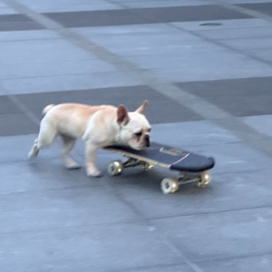 No.016-边界感|开个玩笑,你别那么玻璃心嘛…!?