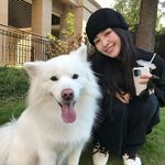 杉间日