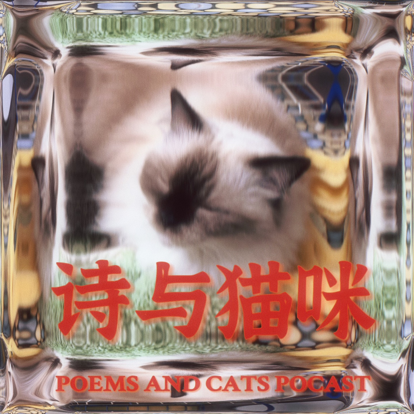 Vol.6 读诗 | 夏宇《Salsa》“但你可以先点一根蜡烛 蜡烛不应该是隐喻” - 诗与猫咪 | 小宇宙 - 听播客,上小宇宙