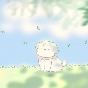 podcaster-avatar