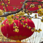 站在新旧交替处，感受年味的变化