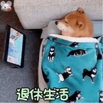 Carol_0XLT