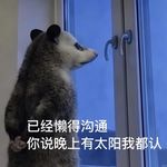 Vol.82-恋爱脑们醒醒吧！这年头连分手都要算ROI！