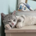 超爱发疯的饭哒镁铝