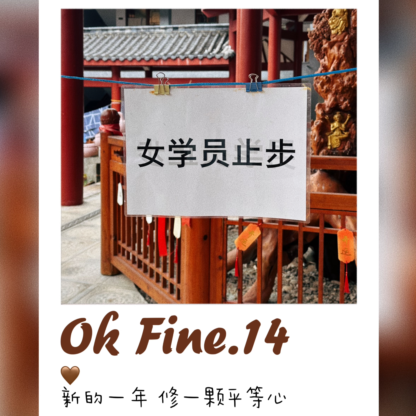#14.和世界失联10天，禅修内观是什么体验？ episode artwork