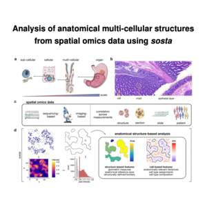 202-sosta：空间组学数据的结构分析