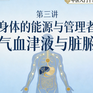 第三讲：身体的“能源”与“管理者”——气血津液与脏腑