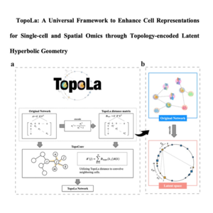 159-TopoLa: Topological Learning for ScRNA Data Analysis