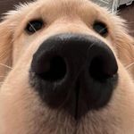 昵称很符合规定