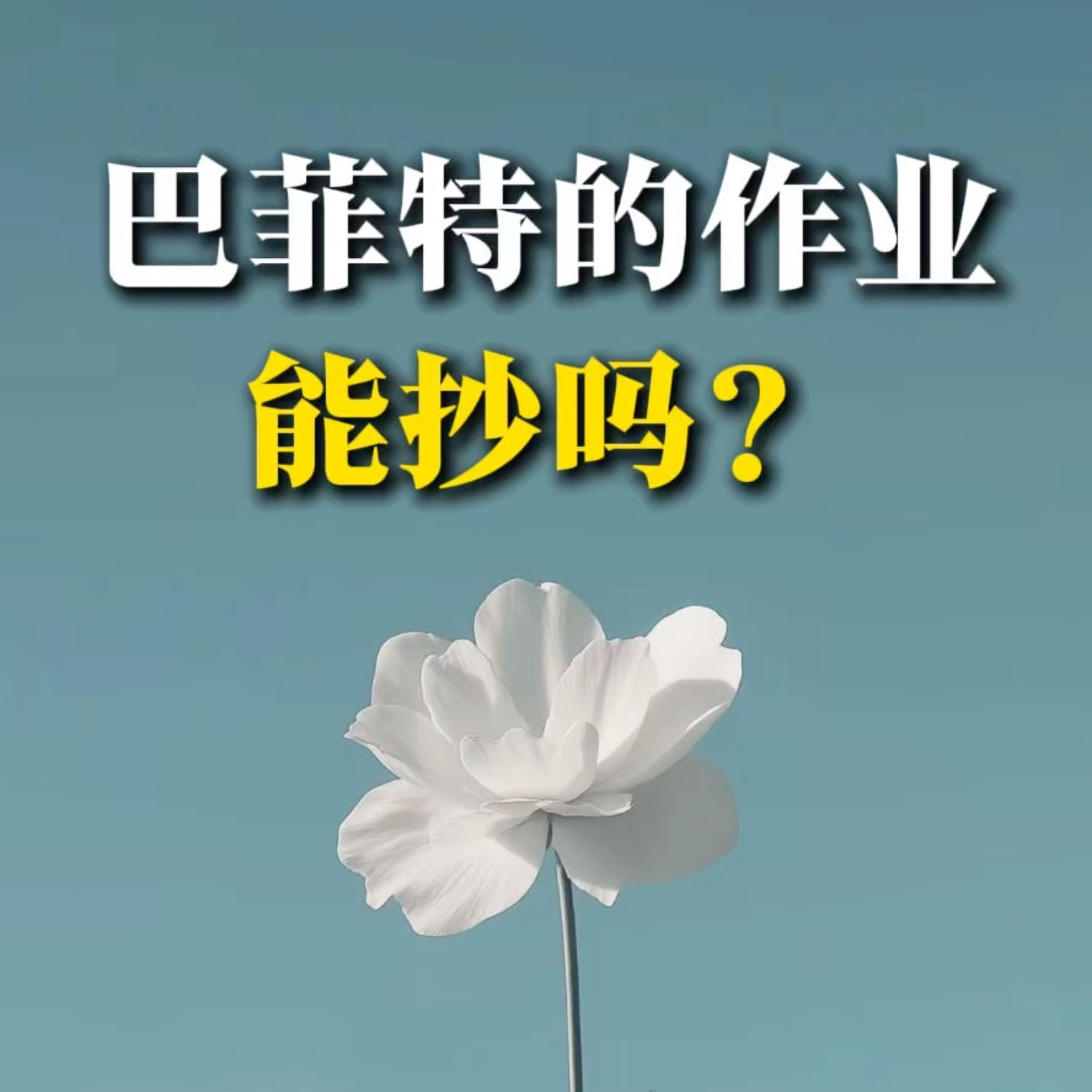 巴菲特的作业，能抄吗？ episode artwork