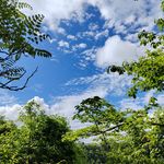 山之歌