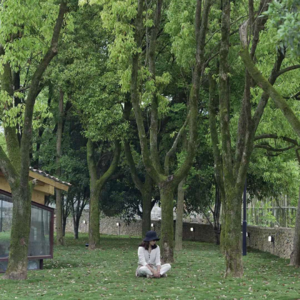 每一次放松都是新的能量