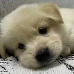 ㅎㅌㅍㅍ