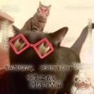 马户哥