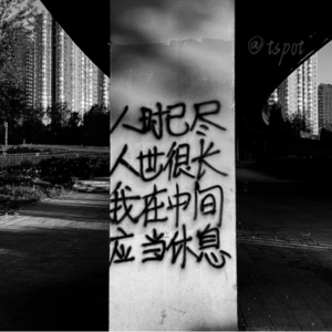 vol 13. 播客、AI时代和我们的职业生涯