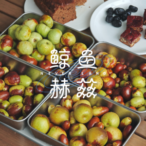 Vol.280 没想到，吃一把新鲜的枣还能晕碳！