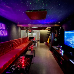 E20. KTV的兴衰:谁偷走了青春的麦克风?