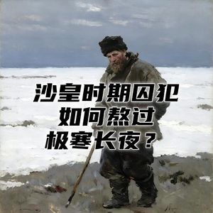 零下40度的西伯利亚流放地，沙皇时代的囚犯靠什么熬过漫漫长冬！#助眠 #助眠故事 #睡前故事
