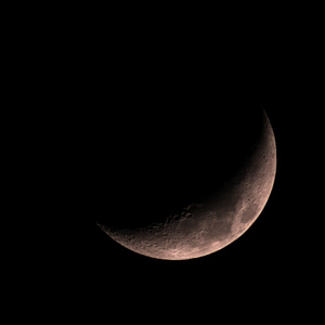 年度挖坟 | 你以为的自主决定真的是自主的吗【六根不净】Vol. 099