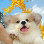 一直都是春天