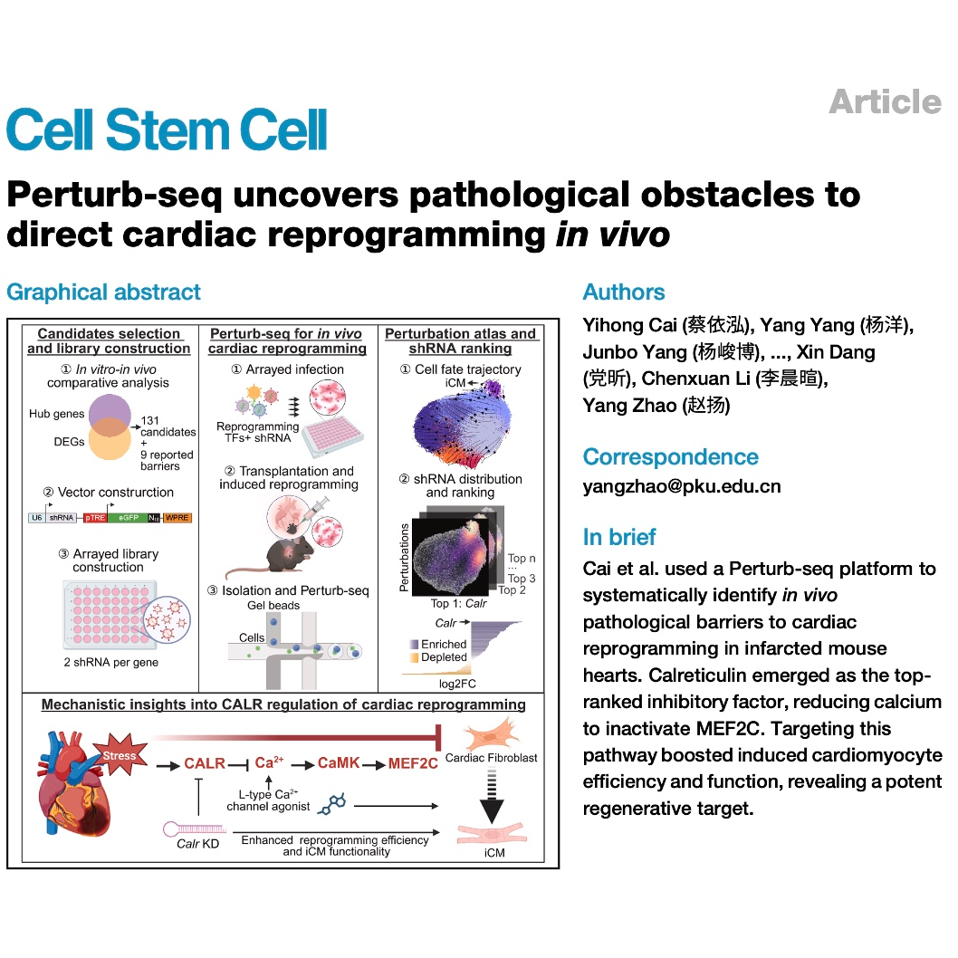822-Pathological Barriers to In Vivo Cardiac Reprogramming episode artwork
