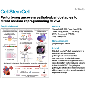 822-Pathological Barriers to In Vivo Cardiac Reprogramming